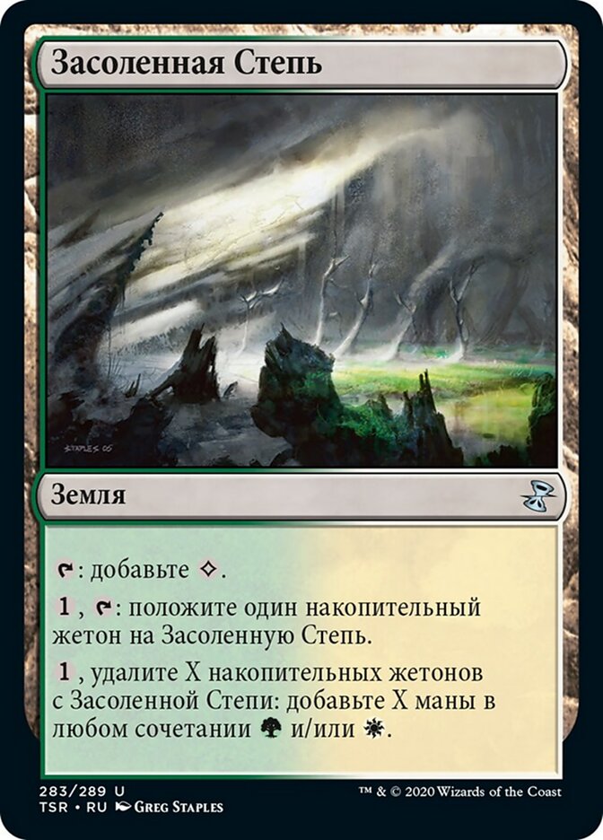 Засоленная Степь