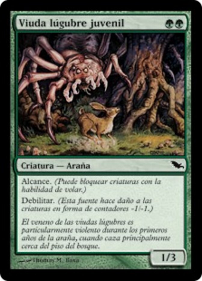 Viuda lúgubre juvenil