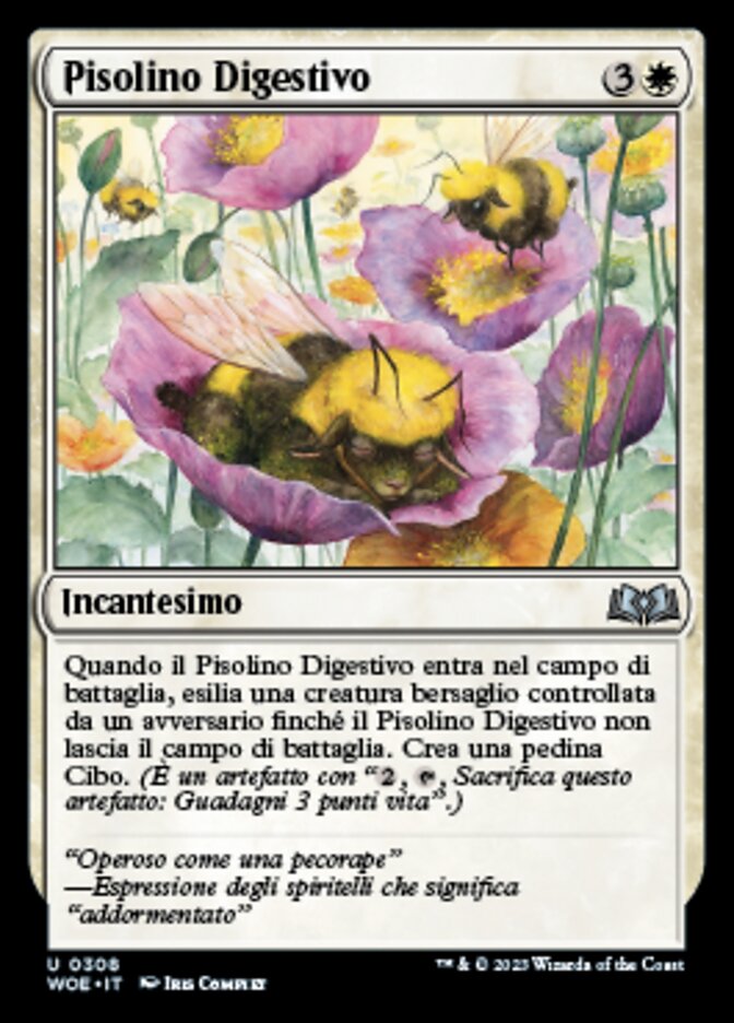 Pisolino Digestivo