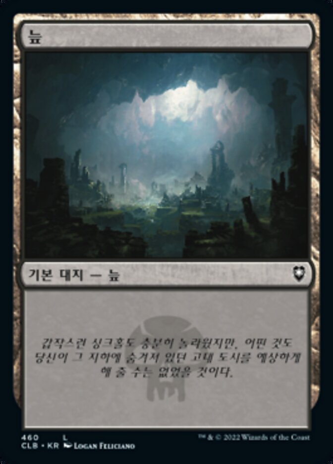 늪