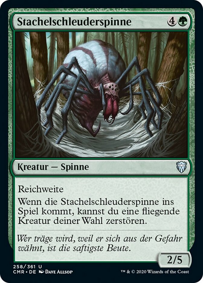 Stachelschleuderspinne