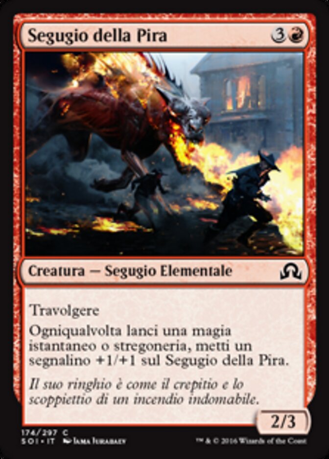 Segugio della Pira