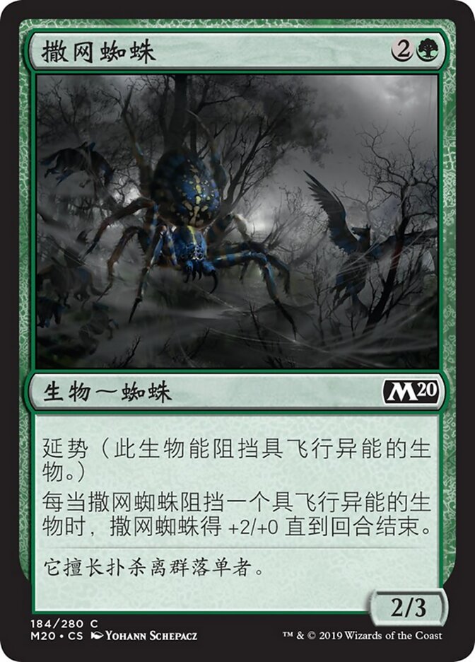 撒网蜘蛛