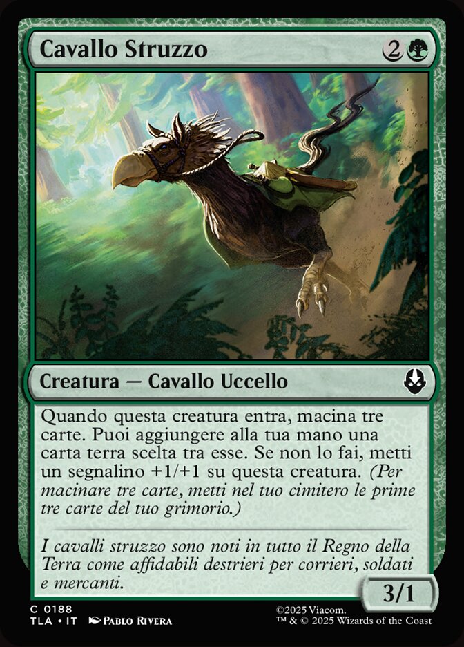 Cavallo Struzzo