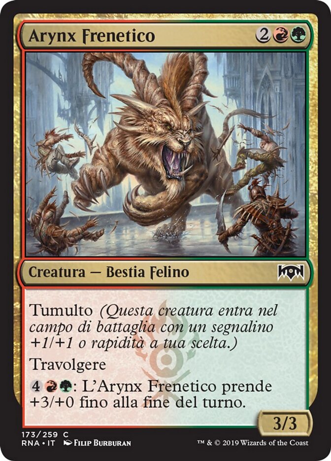 Arynx Frenetico