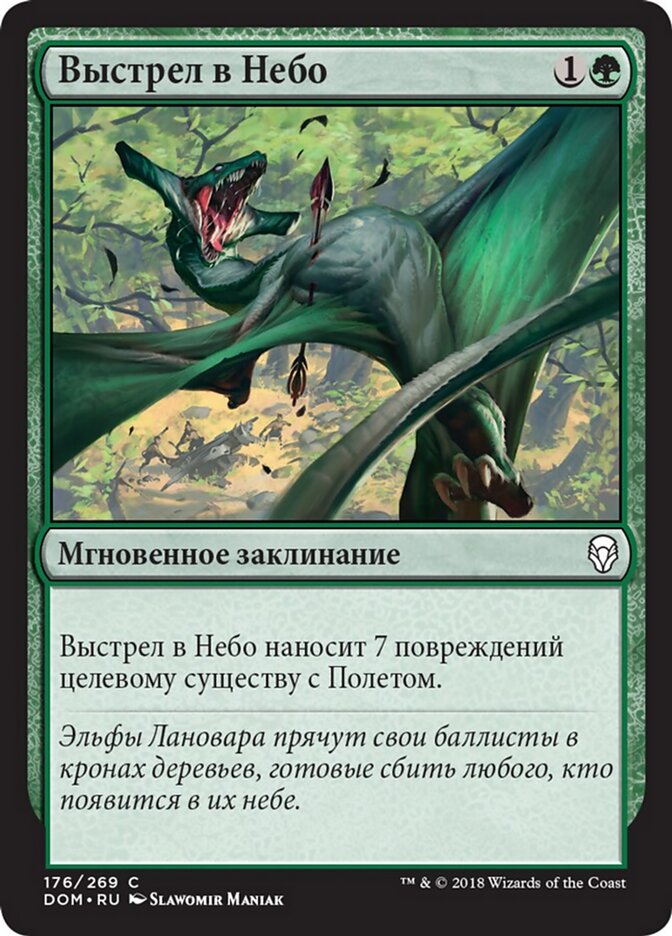 Выстрел в Небо