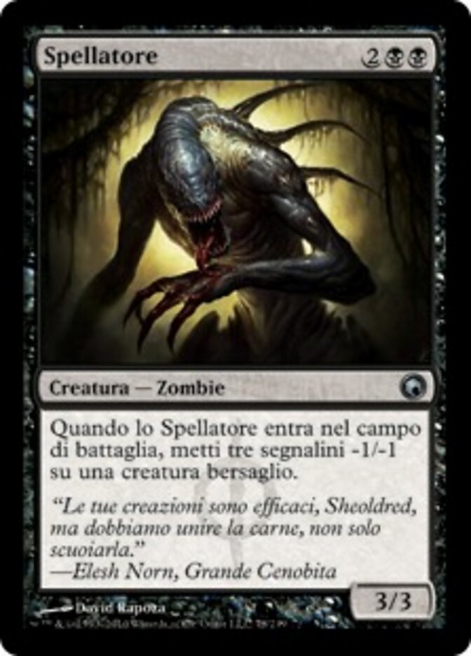 Spellatore