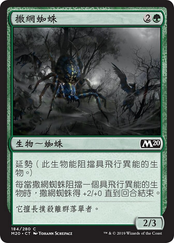 撒網蜘蛛