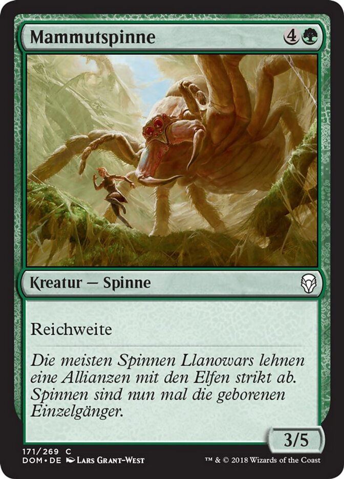 Mammutspinne