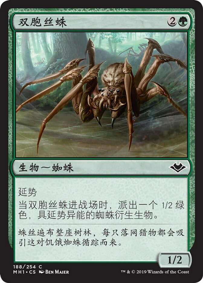 双胞丝蛛