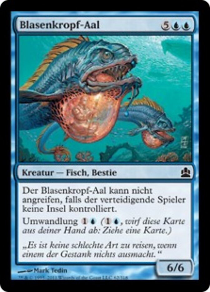 Blasenkropf-Aal