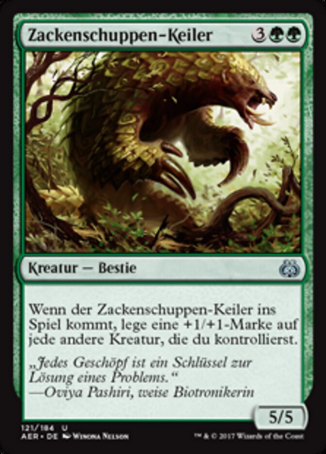 Zackenschuppen-Keiler