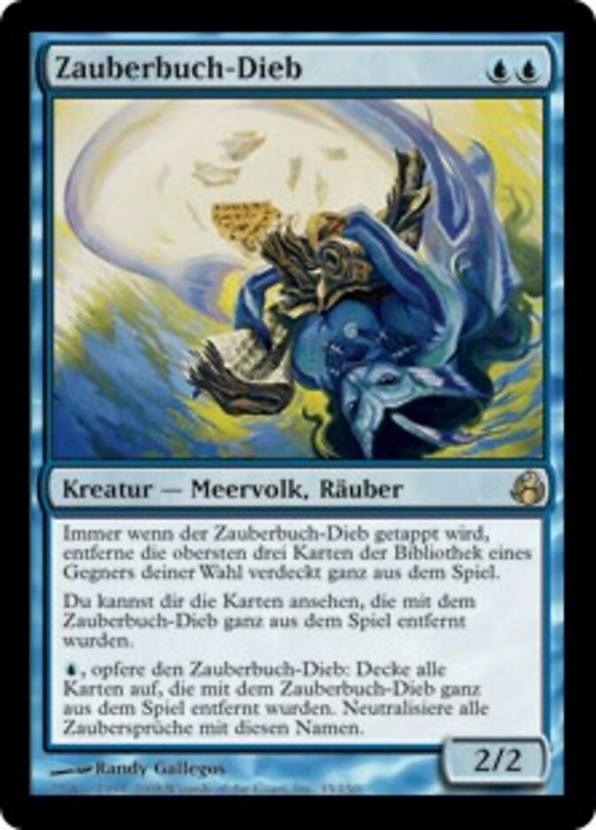 Zauberbuch-Dieb