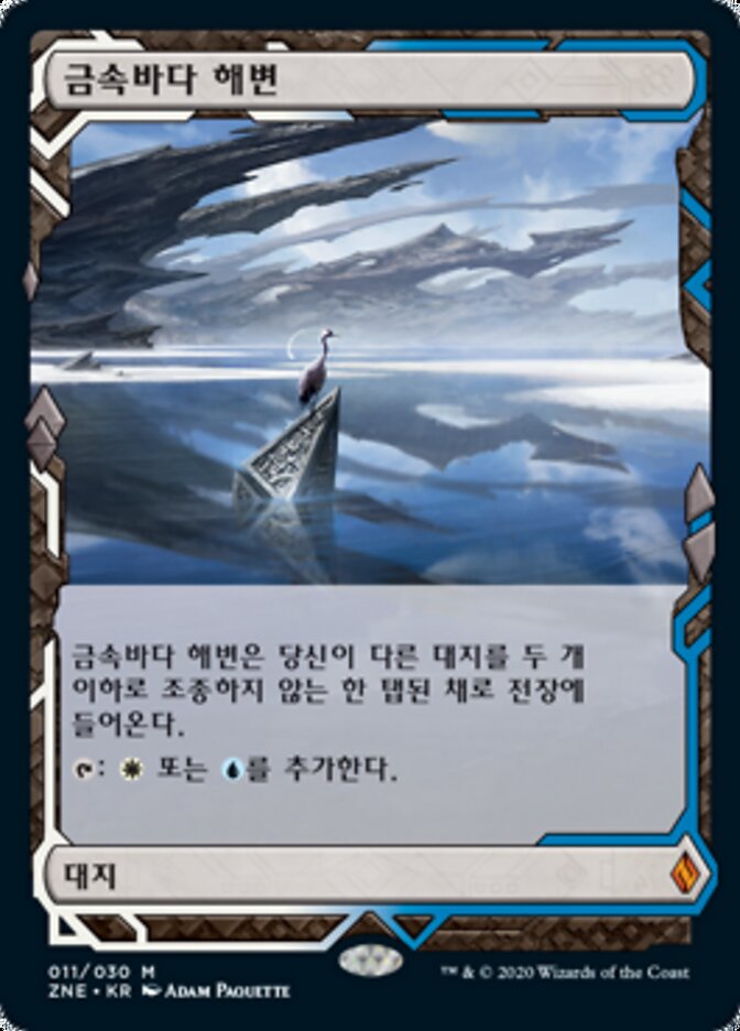 금속바다 해변