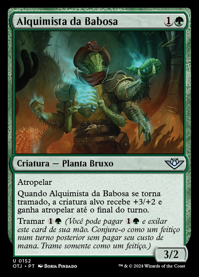 Alquimista da Babosa