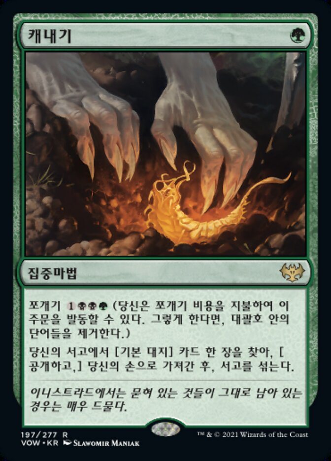캐내기