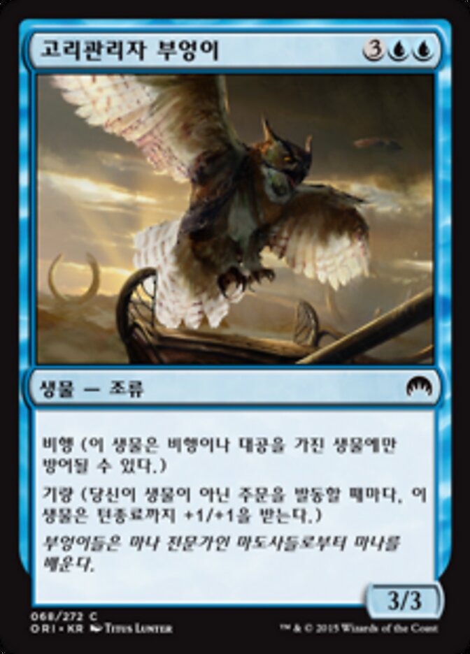 고리관리자 부엉이