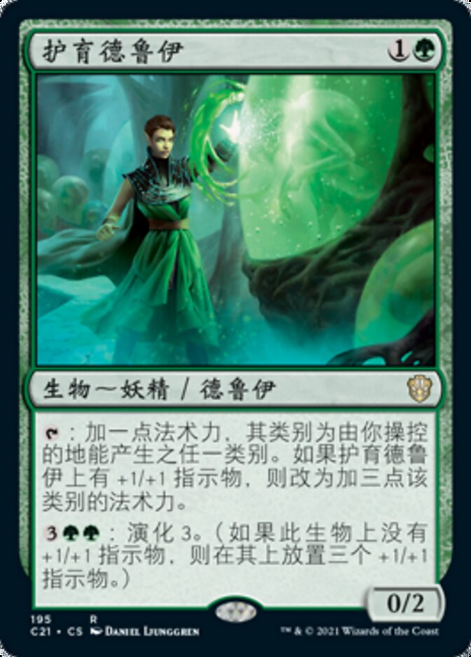 护育德鲁伊