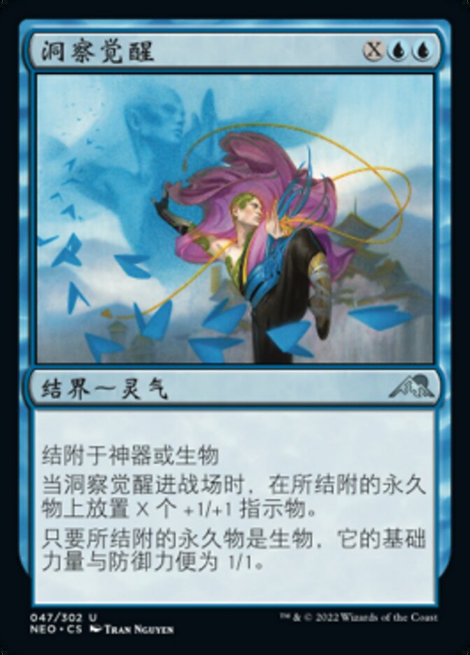 洞察觉醒