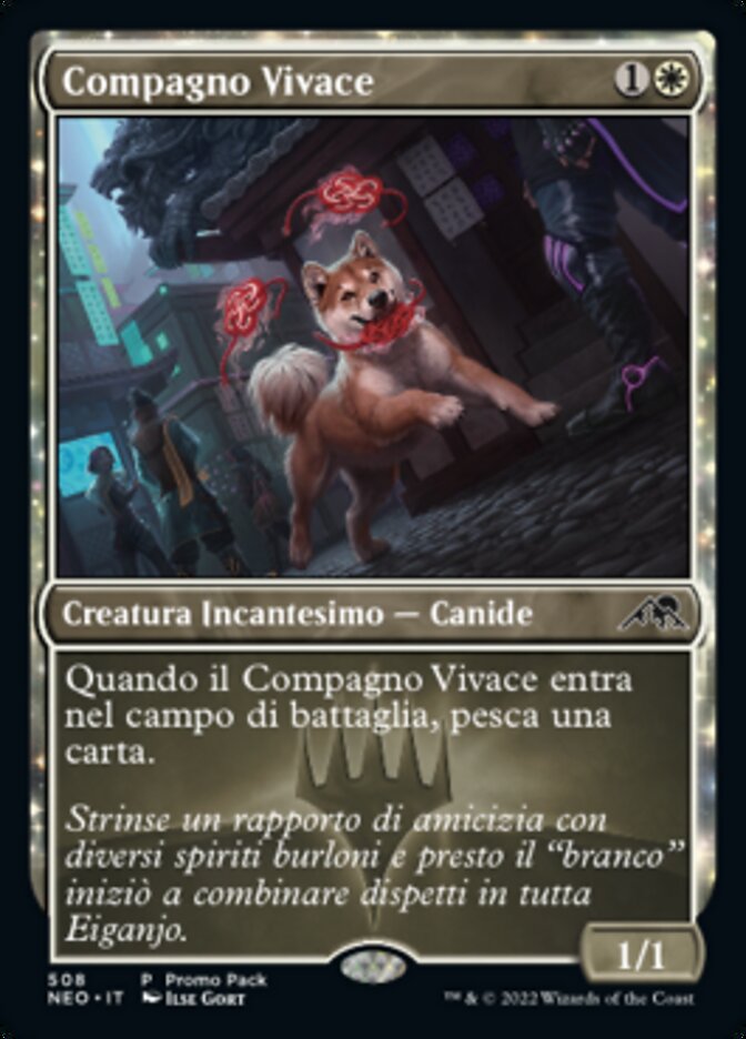Compagno Vivace