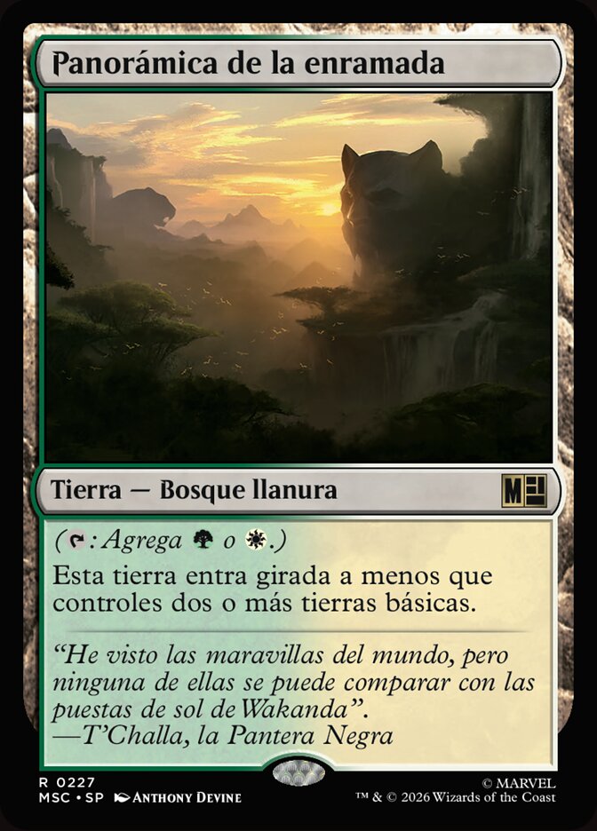 Panorámica de la enramada