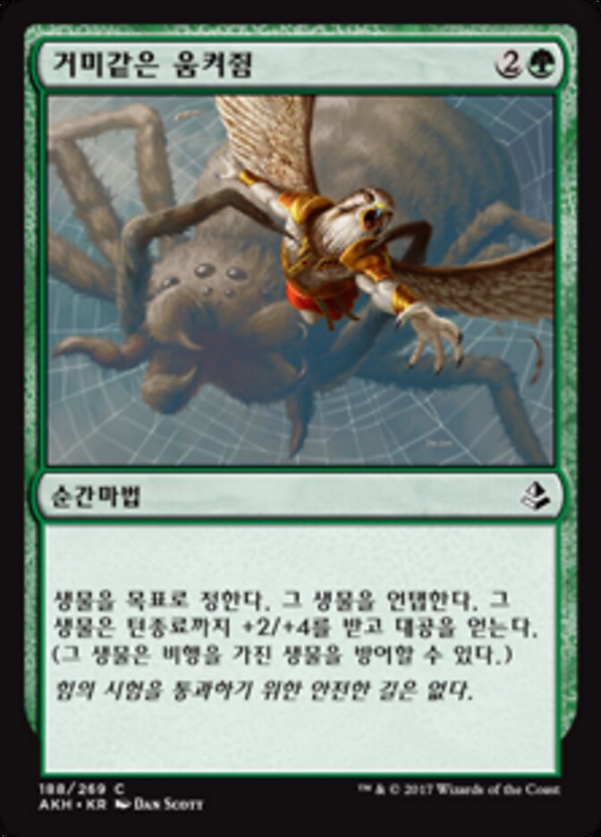 거미같은 움켜쥠