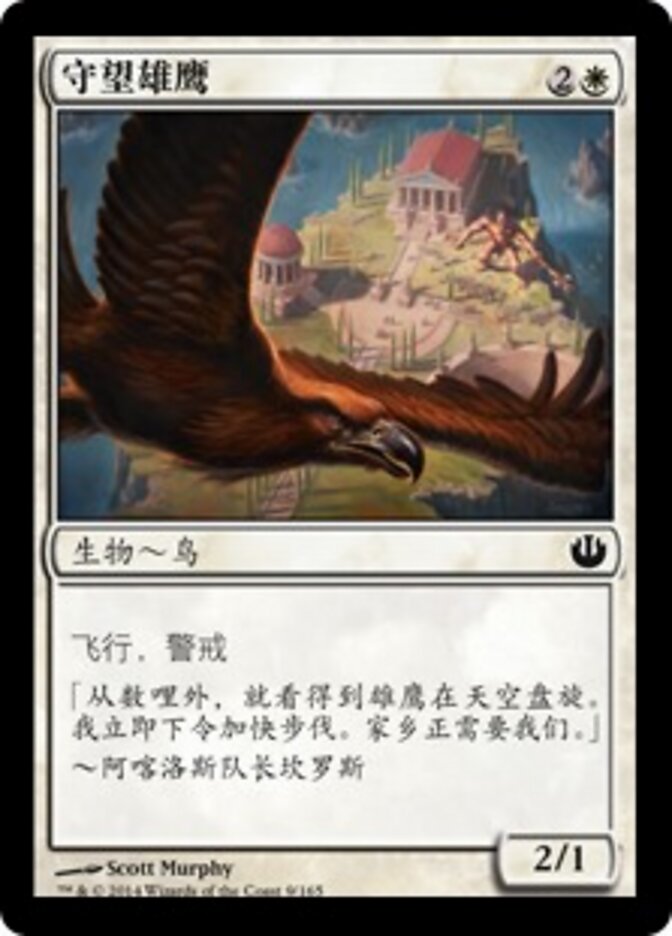 守望雄鹰