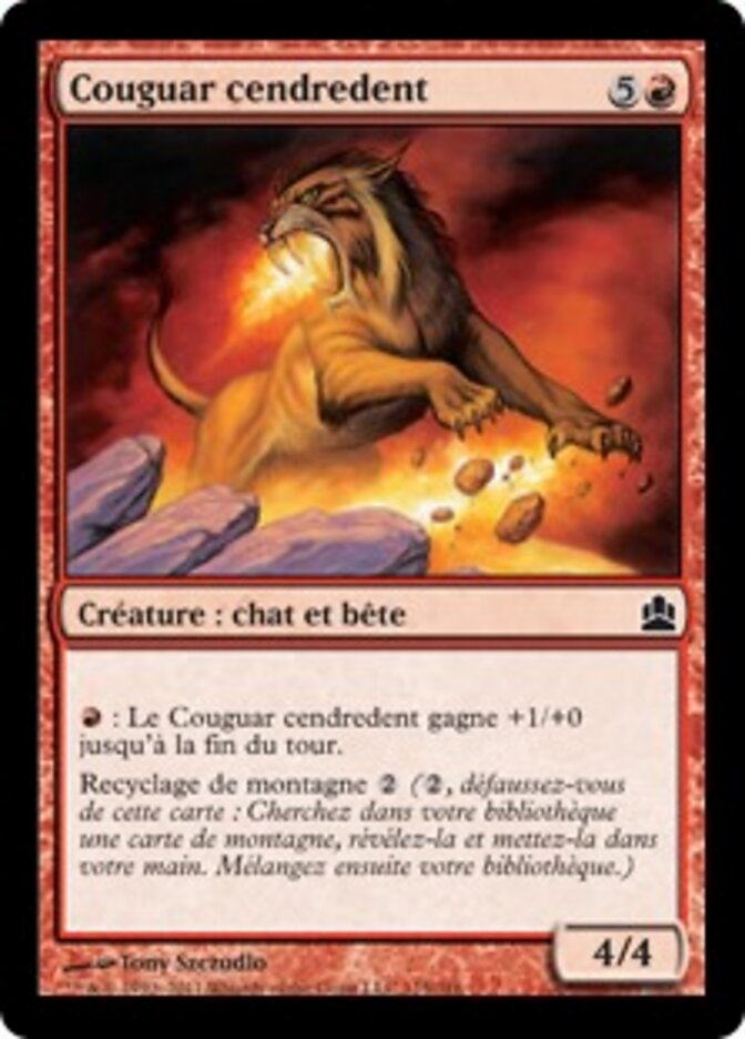 Couguar cendredent