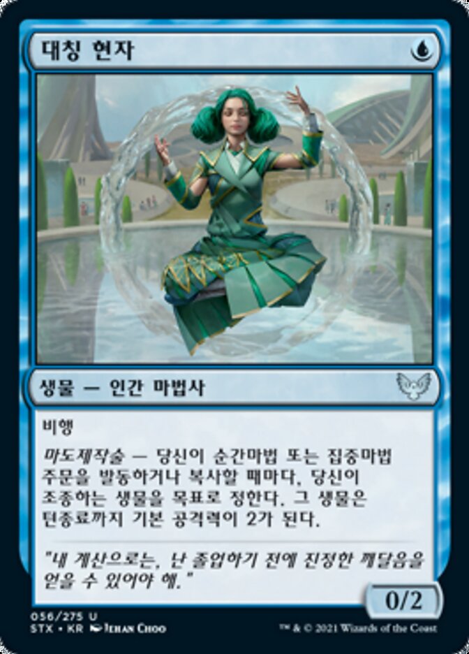 대칭 현자