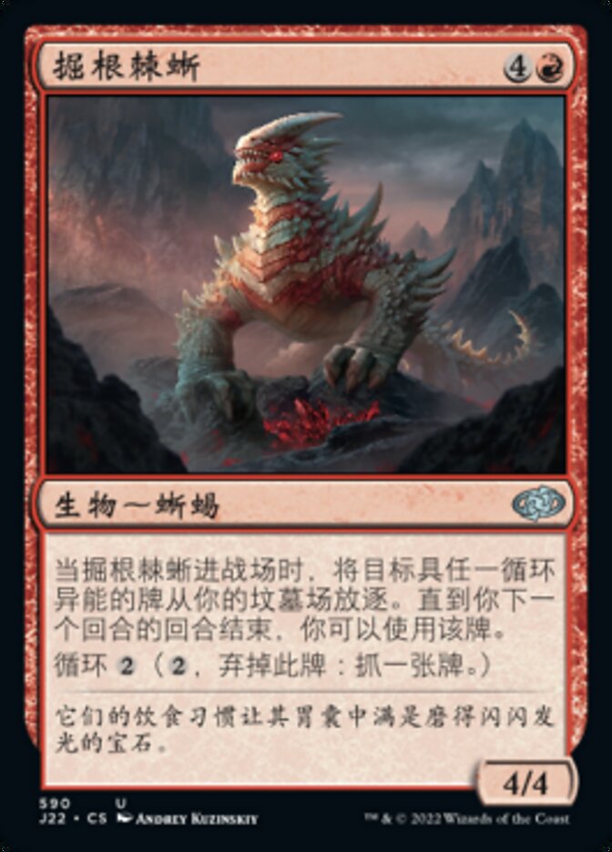 掘根棘蜥