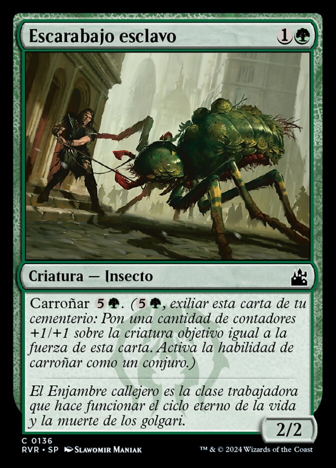 Escarabajo esclavo