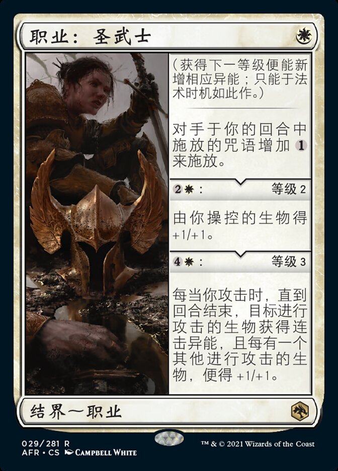职业：圣武士