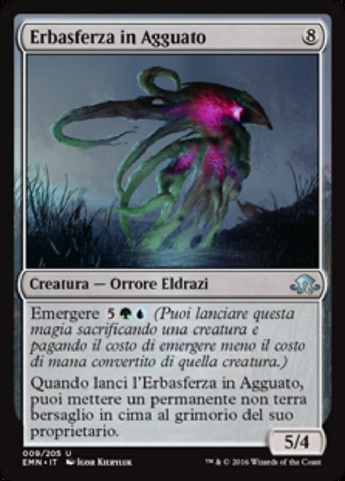 Erbasferza in Agguato