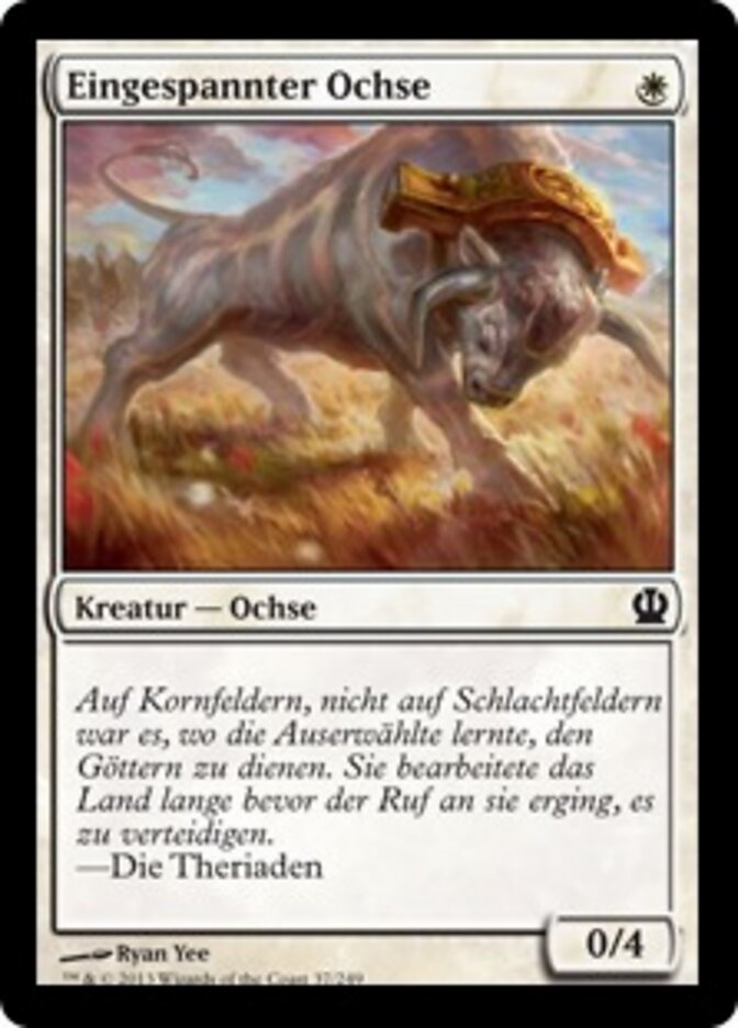 Eingespannter Ochse