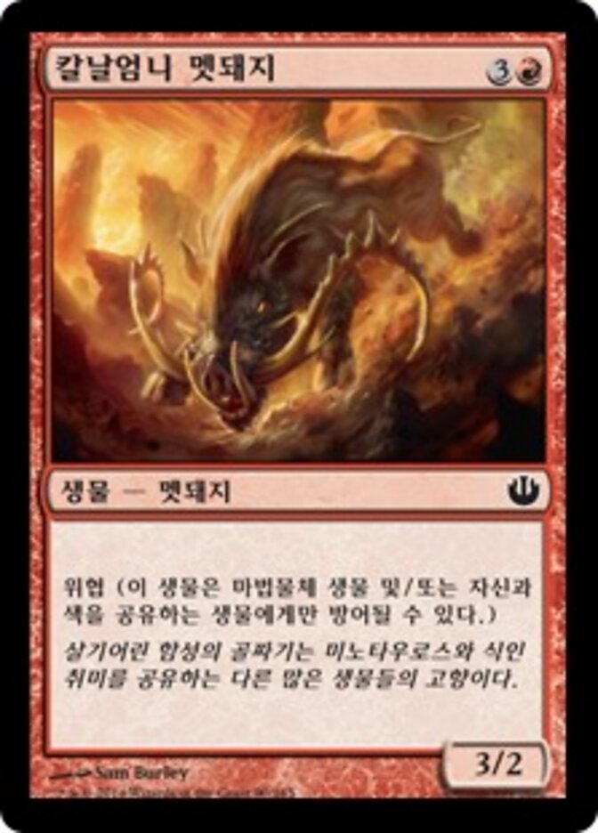 칼날엄니 멧돼지