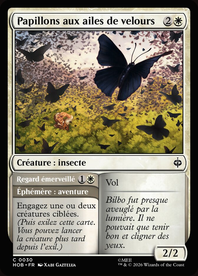 Velvetwing Butterflies // Gaze in Wonder