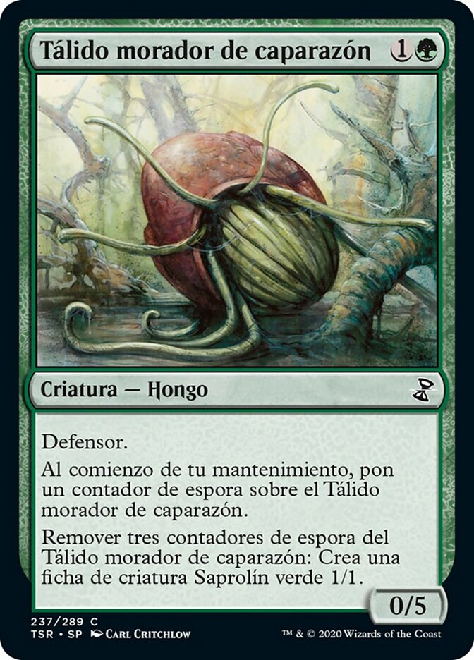 Tálido morador de caparazón