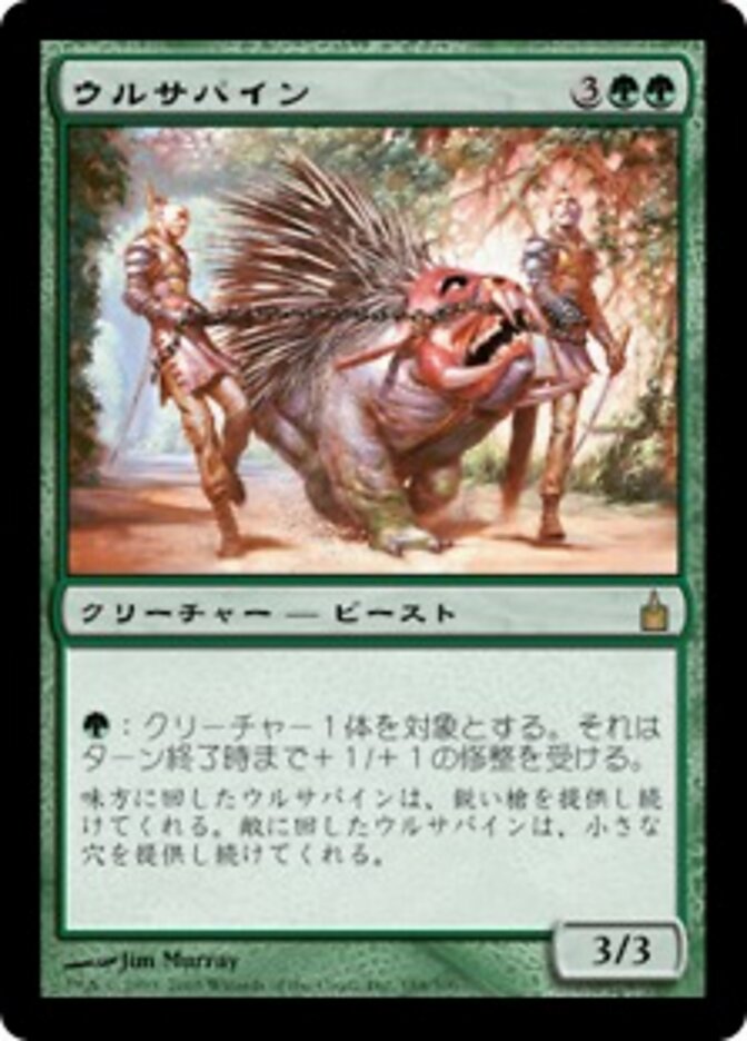 ウルサパイン