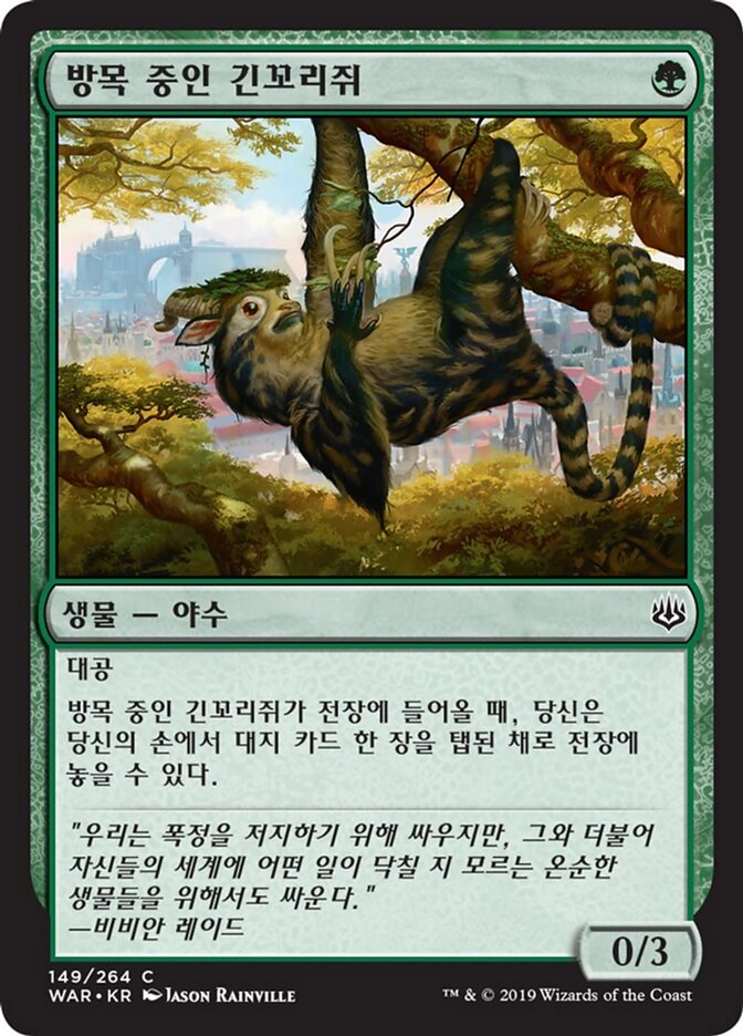 방목 중인 긴꼬리쥐