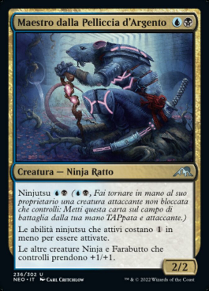 Maestro dalla Pelliccia d'Argento