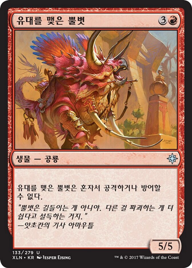 유대를 맺은 뿔볏