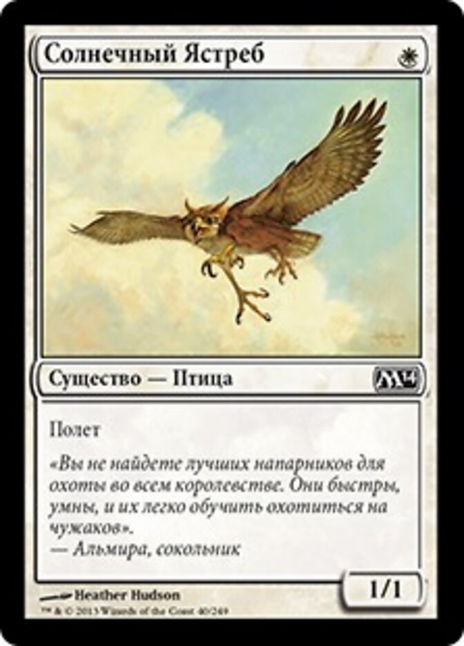 Солнечный Ястреб