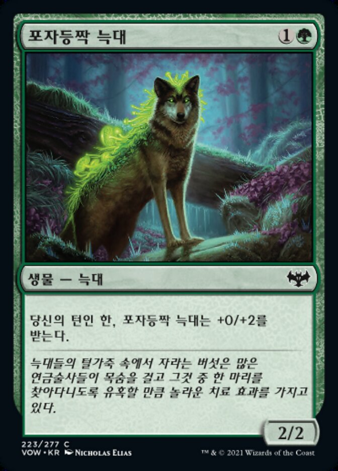 포자등짝 늑대