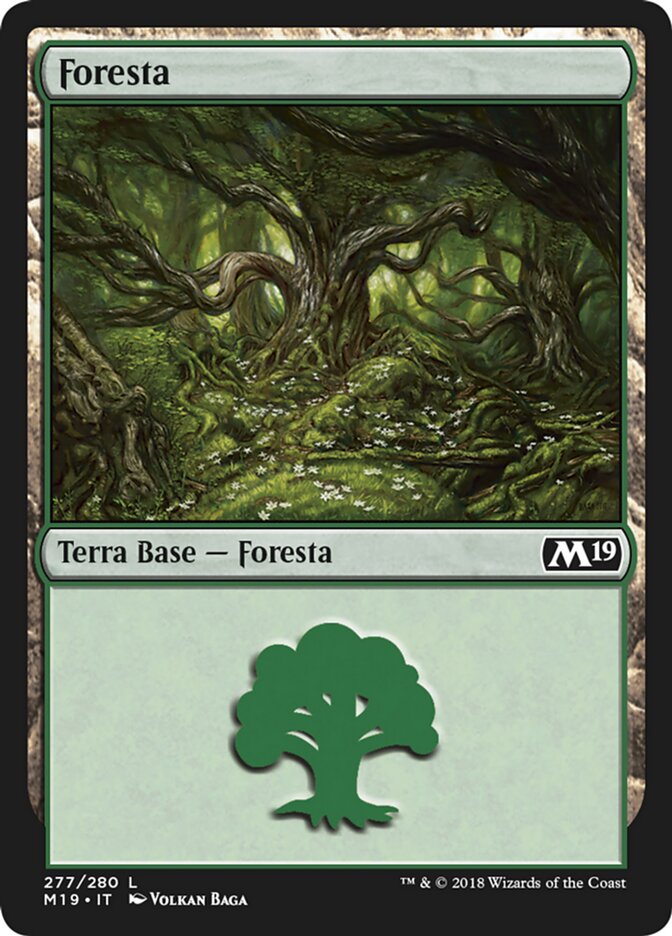 Foresta