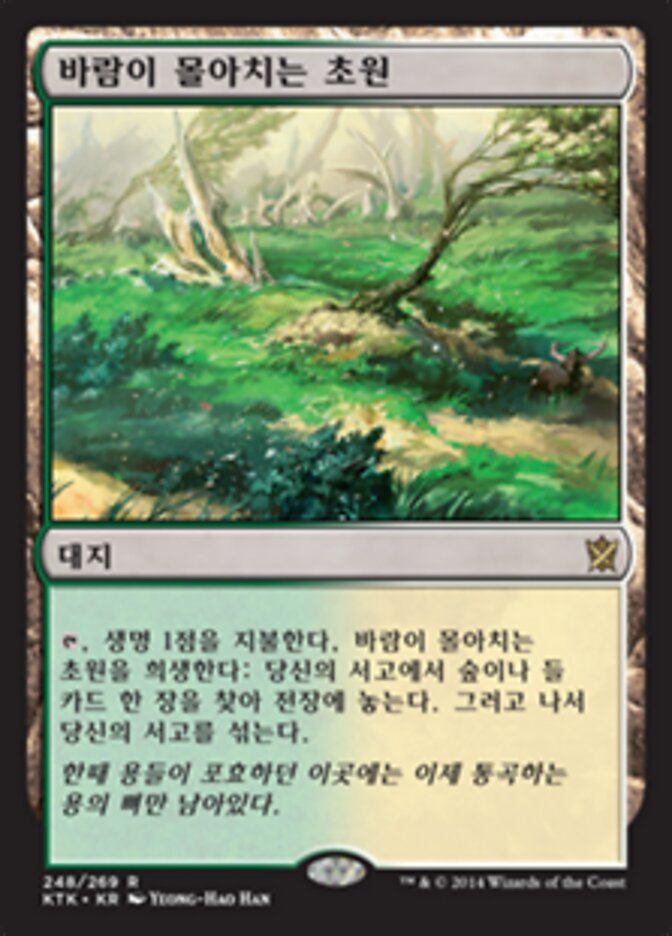 바람이 몰아치는 초원