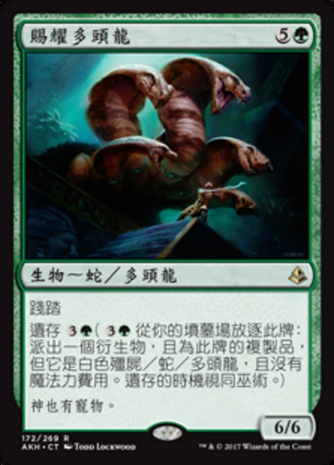 賜耀多頭龍