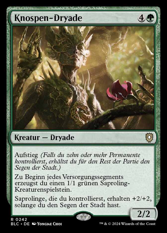 Knospen-Dryade