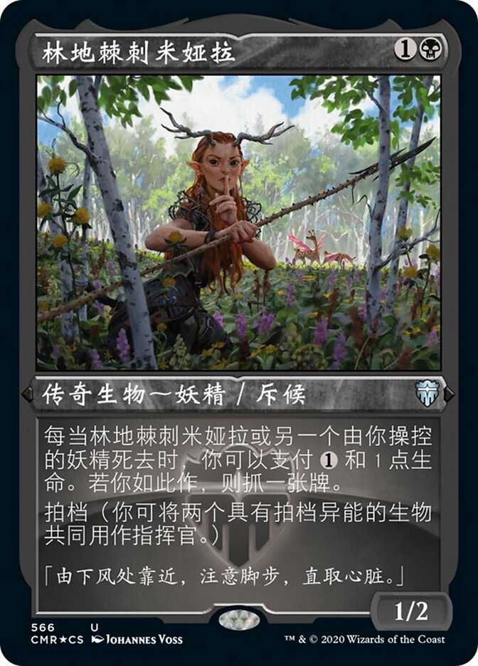林地棘刺米娅拉