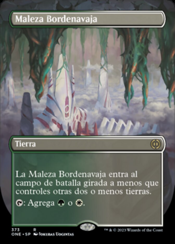 Maleza Bordenavaja