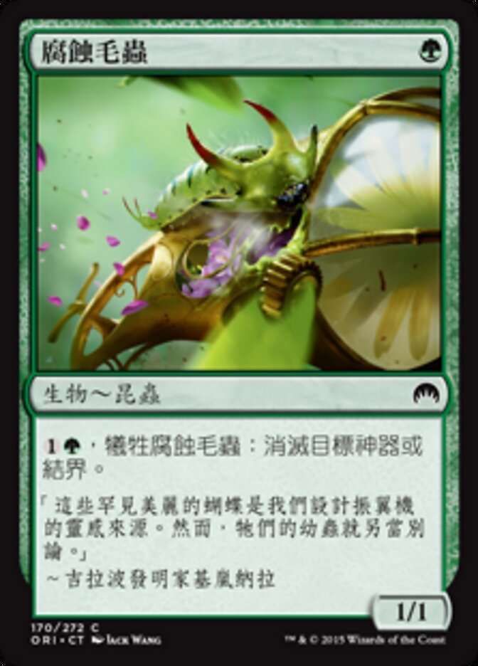 腐蝕毛蟲